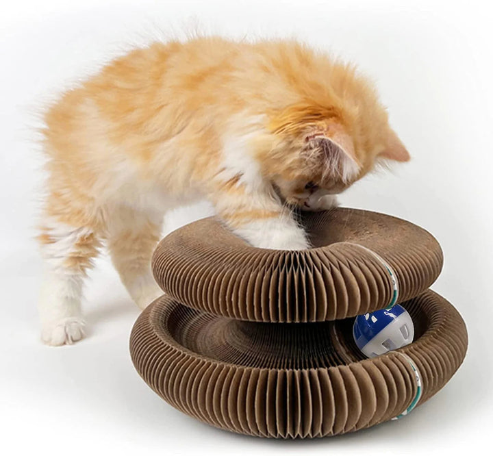 Play & Scratch with Magical Organ Scratching Board