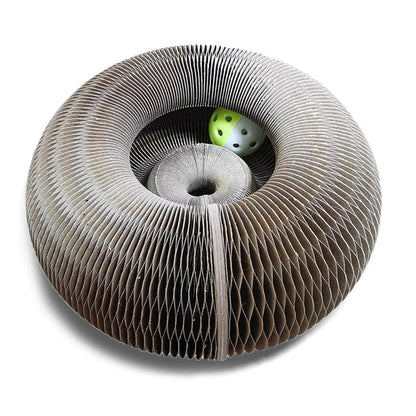 Play & Scratch with Magical Organ Scratching Board