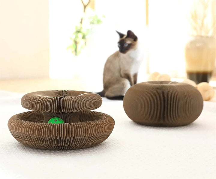 Play & Scratch with Magical Organ Scratching Board