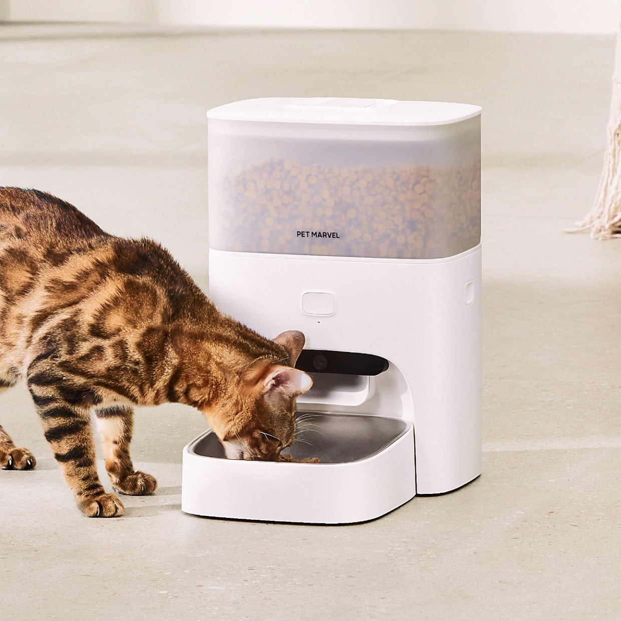 Petdiary – Smart Automatic Cat Feeder with Camera