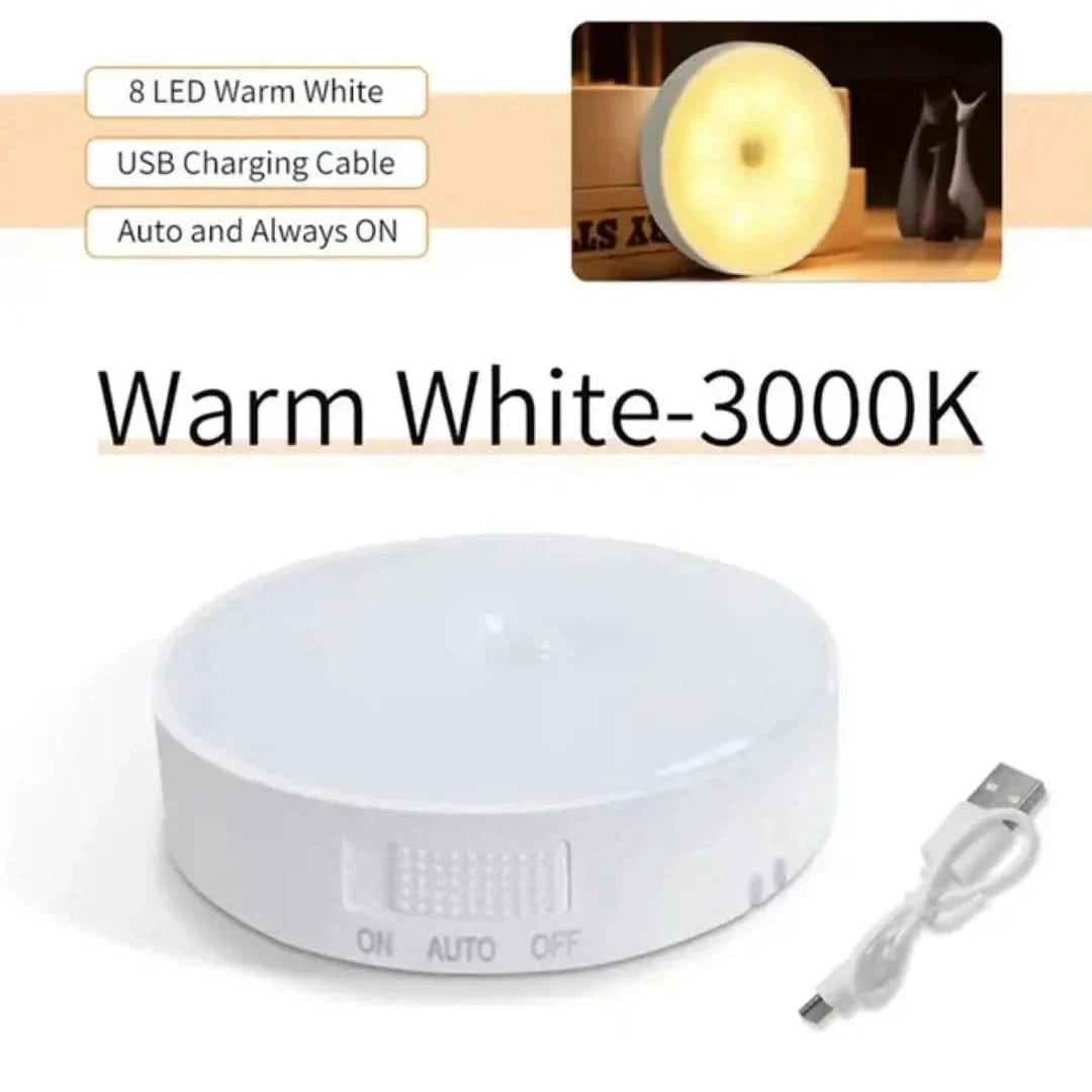 Energy-efficient LED Motion Sensor Light
