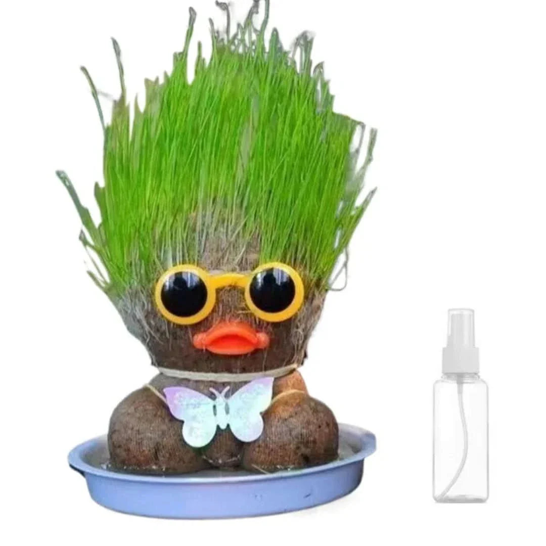 Plante figurative - Creează plante vii