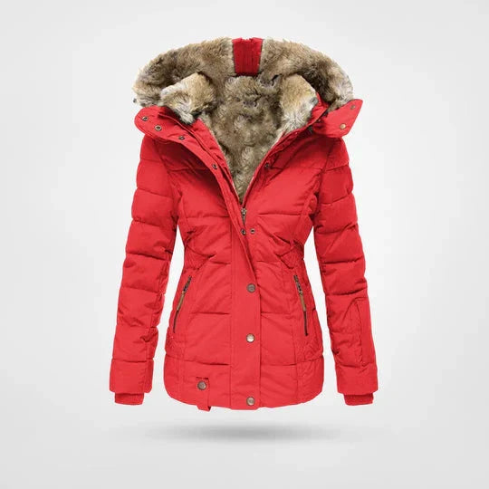 Waterproof Winter Jacket for Men