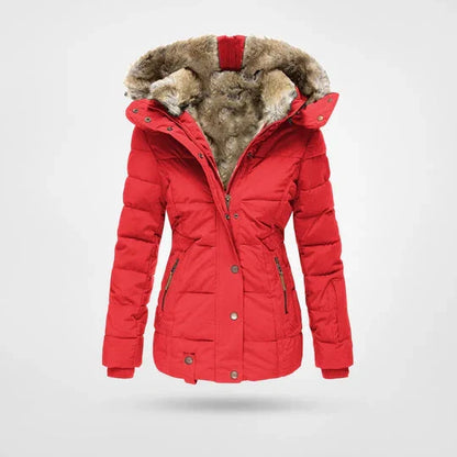 Waterproof Winter Jacket for Men