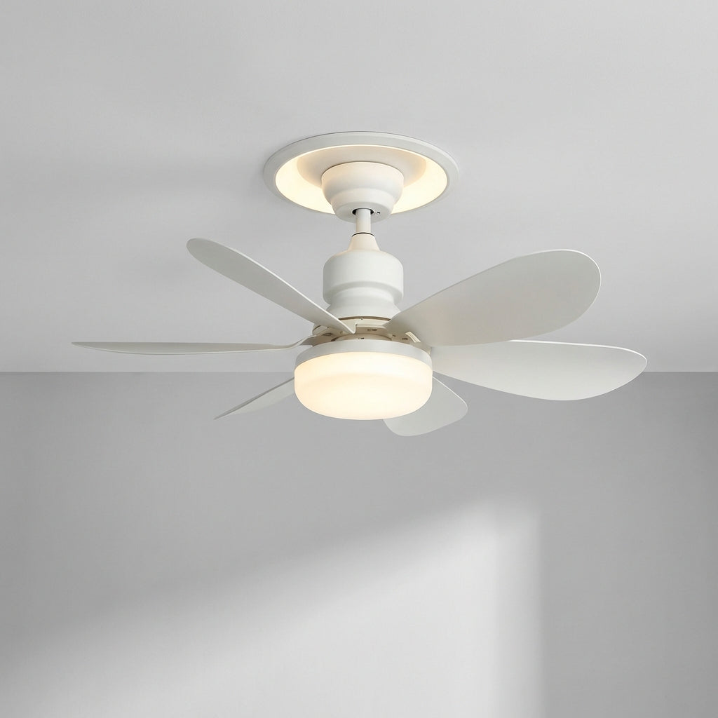 Ceiling light fixture with remote control