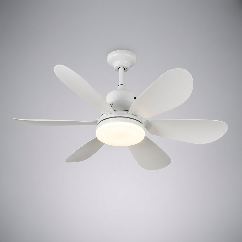Ceiling light fixture with remote control