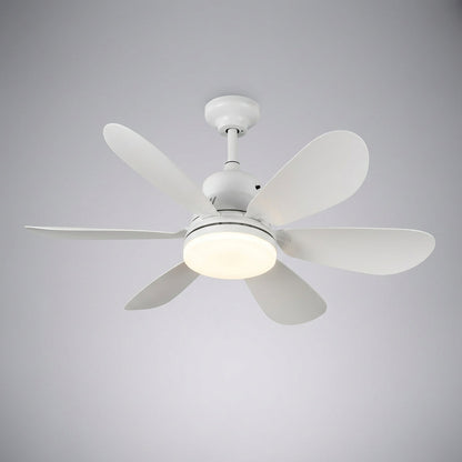 Ceiling light fixture with remote control