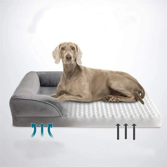 Sofá ergonómico y ventilado para perros - Jordy