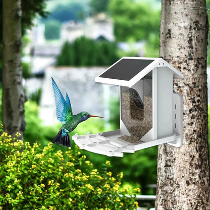 Smart Solar Bird Feeder