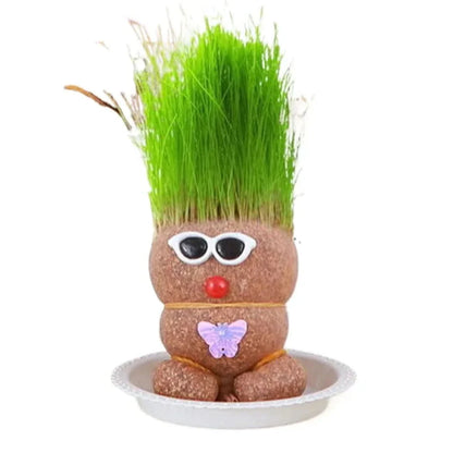 Plante figurative - Creează plante vii
