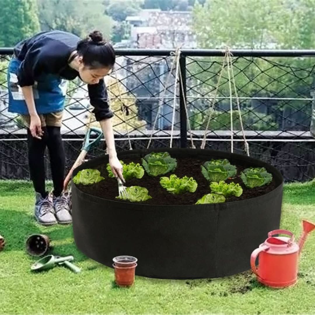 Cultivation box - Mini vegetable garden for every home