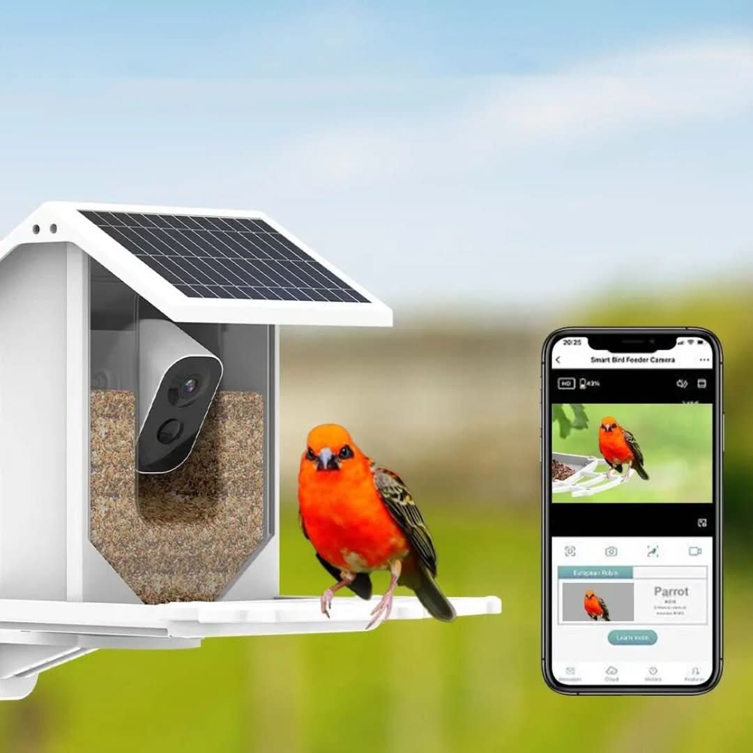 Comedouro Inteligente para Aves com Painel Solar