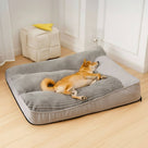 Orthopaedic Dog Bed | Sturdy Support, Comfortable | Pets