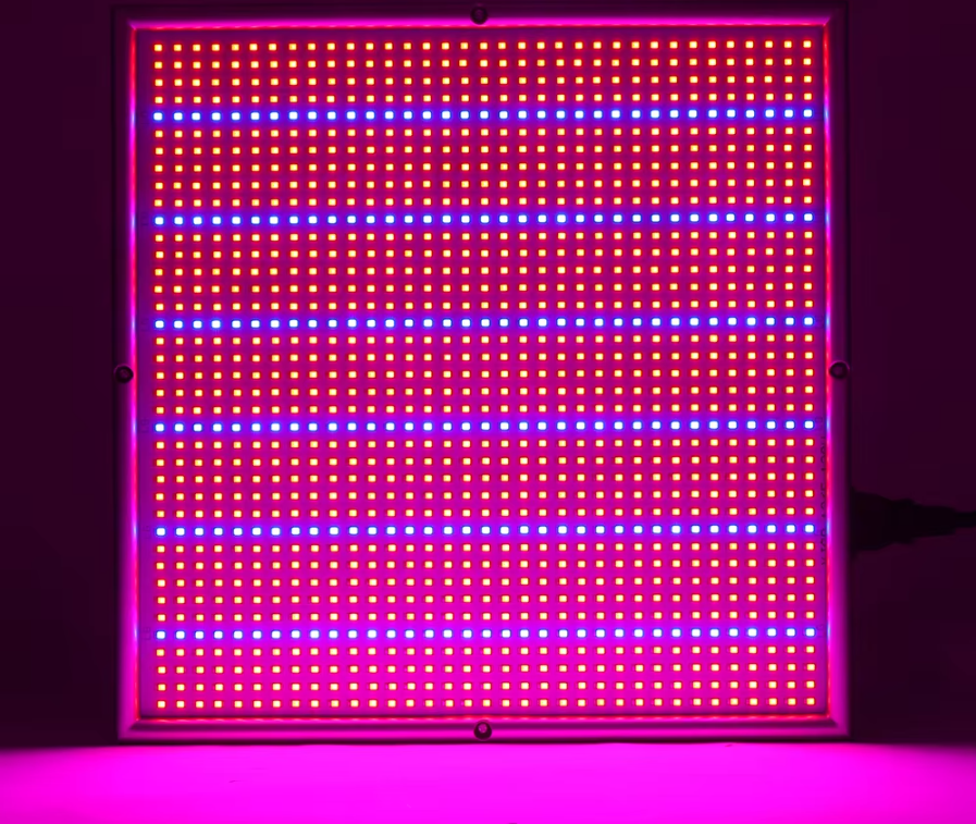 200W LED Grow Light – Dimmable Full Spectrum Grow Lamp with 2000 LEDs
