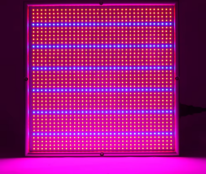 200W LED Grow Light – Dimmable Full Spectrum Grow Lamp with 2000 LEDs
