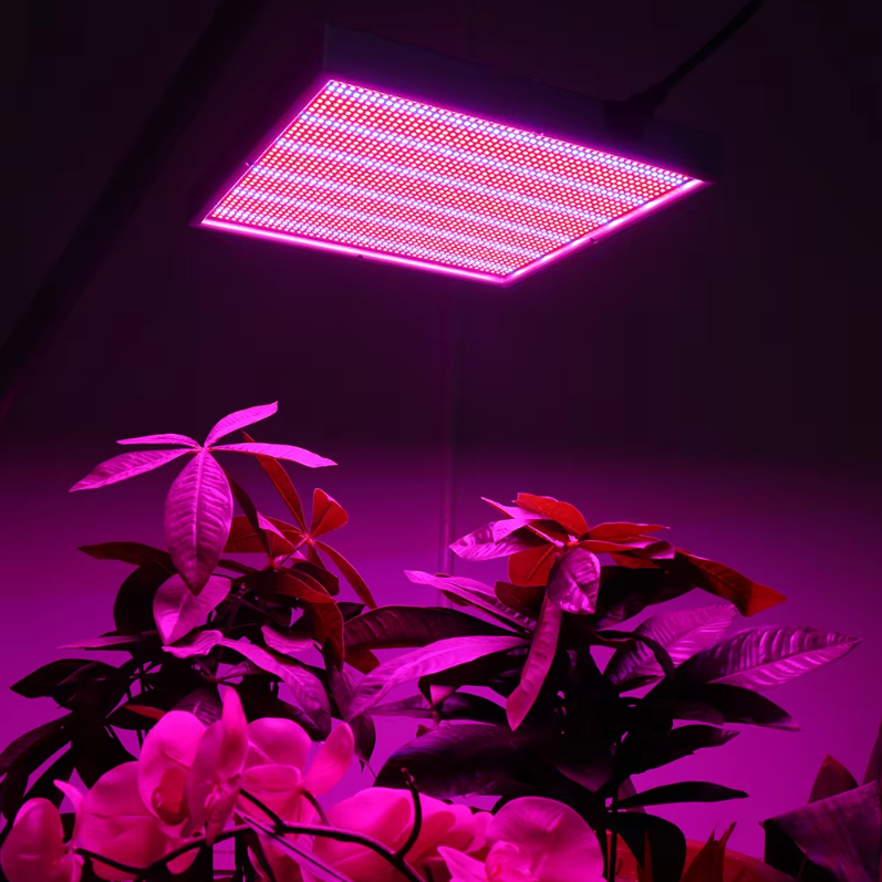 200W LED Grow Light – Dimmable Full Spectrum Grow Lamp with 2000 LEDs