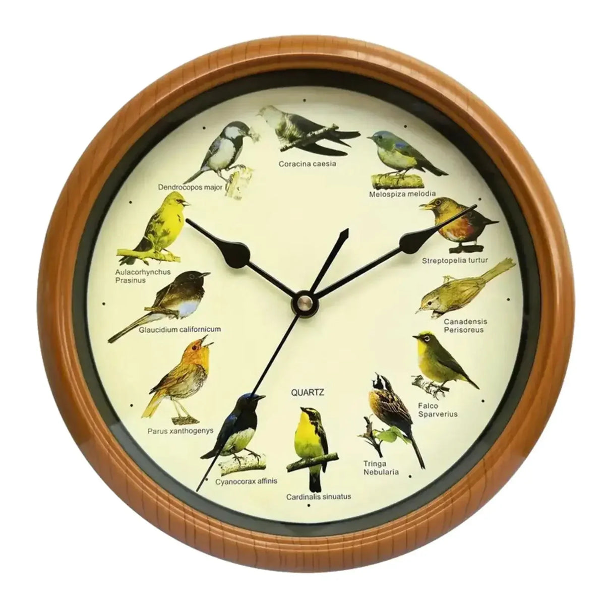 Wall Clock - Decorative Timepiece with Bird Sounds - Unique Atmosphere