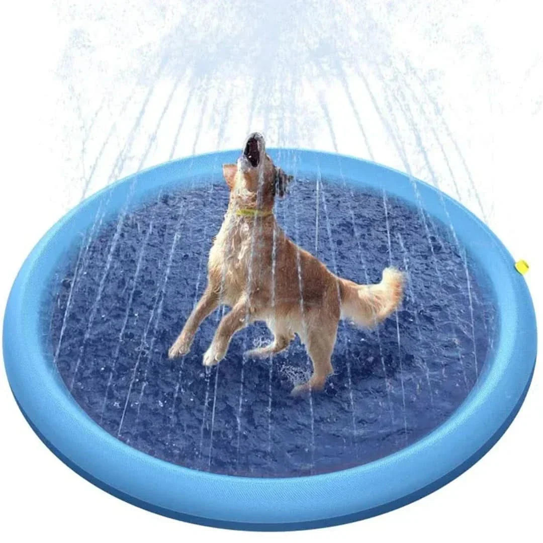 Splashy - Pet Pool
