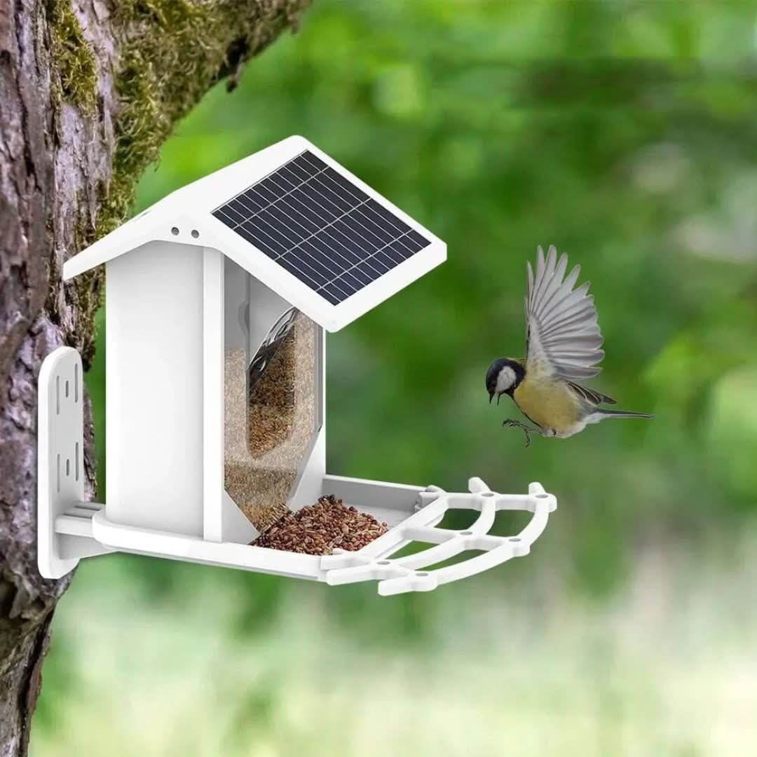 Comedouro Inteligente para Aves com Painel Solar