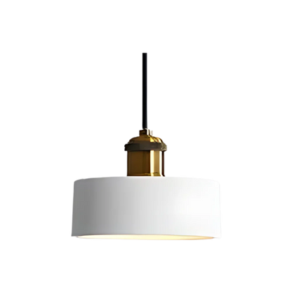 Scandinavian Ceiling Lamp with Modern Design