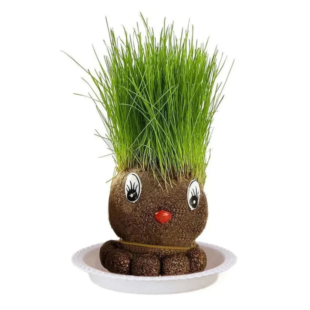 Plante figurative - Creează plante vii