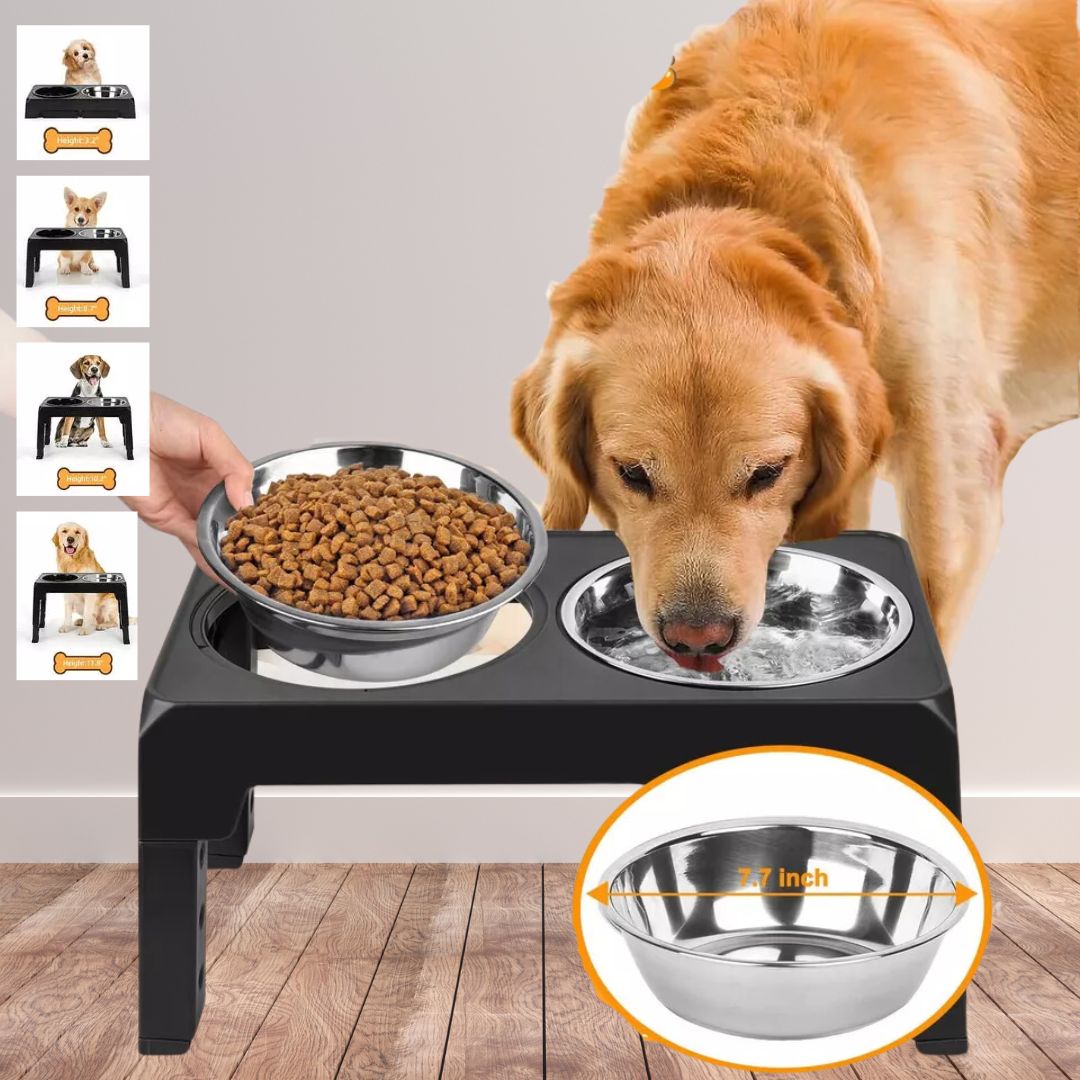 VitalPET – Adjustable feeding stand for dog bowls