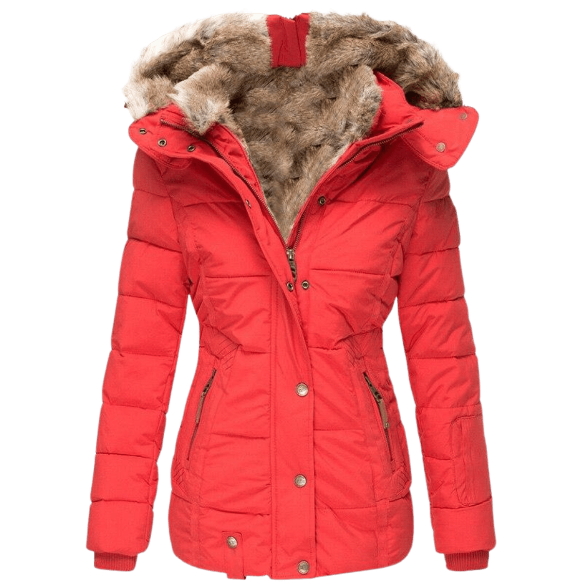 Stylish Women's Winter Jacket