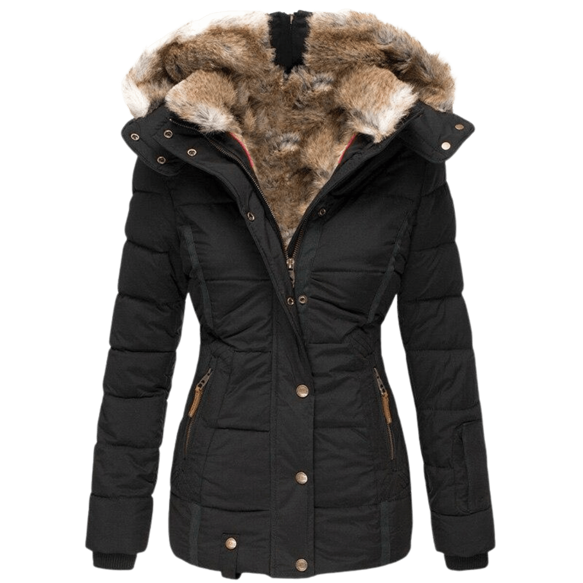 Stylish Women's Winter Jacket