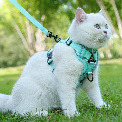 Reflecterend kattentuigje met riem - ideaal voor wandelingen en training