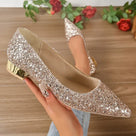 Ladies' Sparkling Glitter Ballerinas with Pointed Toe