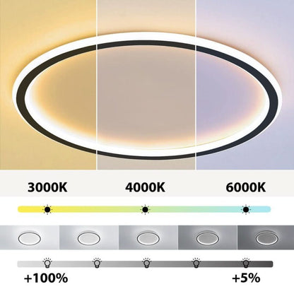 Quinn Modern Round LED Ceiling Light Metal/Acrylic