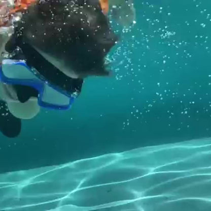 AquaClear Snorkel Set – Leak-proof, Comfortable and with Great Visibility