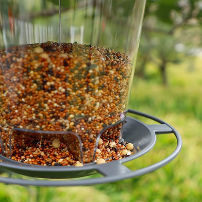 Mushroom-Shaped Bird Feeder Station – Handy and Decorative for Gardens and Outdoor Spaces
