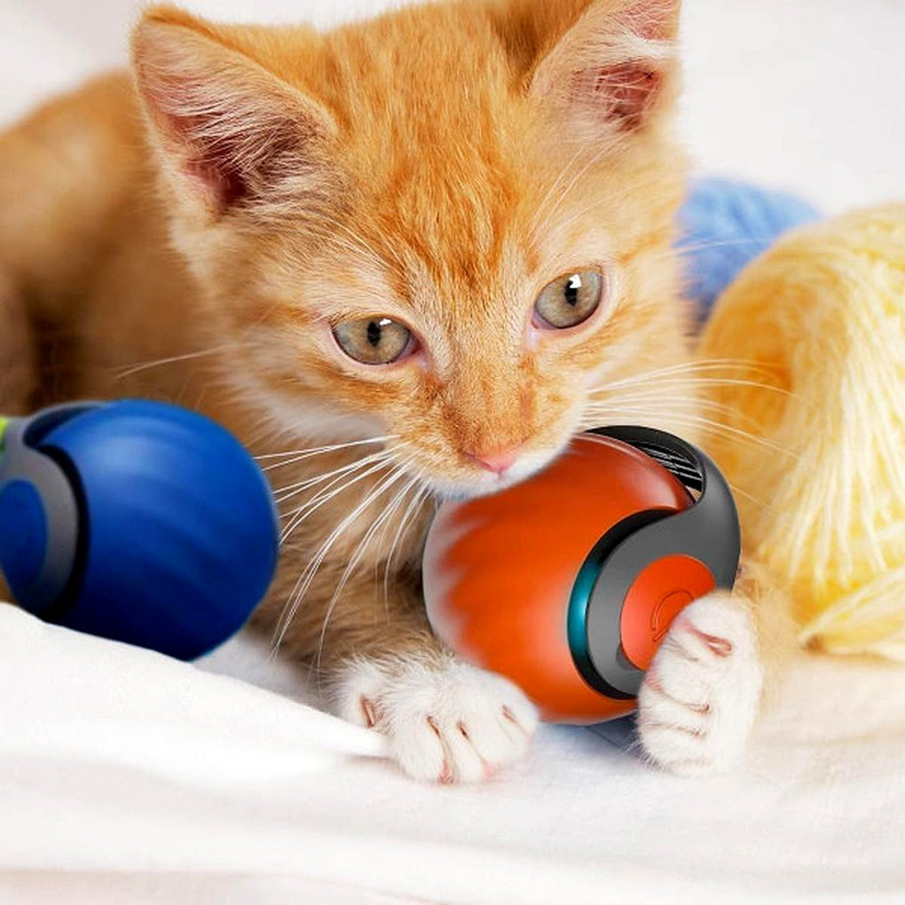Interactive Cat Ball Toy - Self-Moving Rolling Play Ball