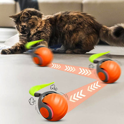 Interactive Cat Ball Toy - Self-Moving Rolling Play Ball