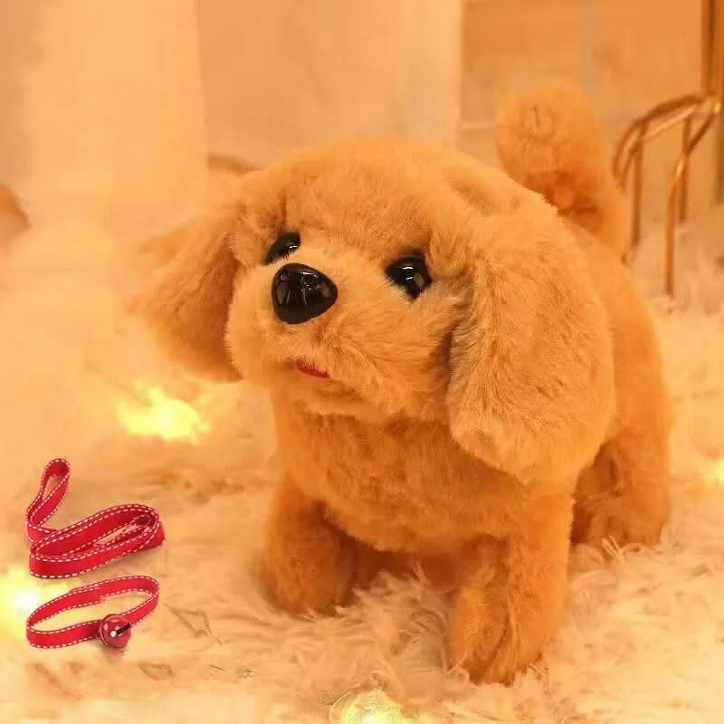 BarkyBuddy | Tökéletes társ