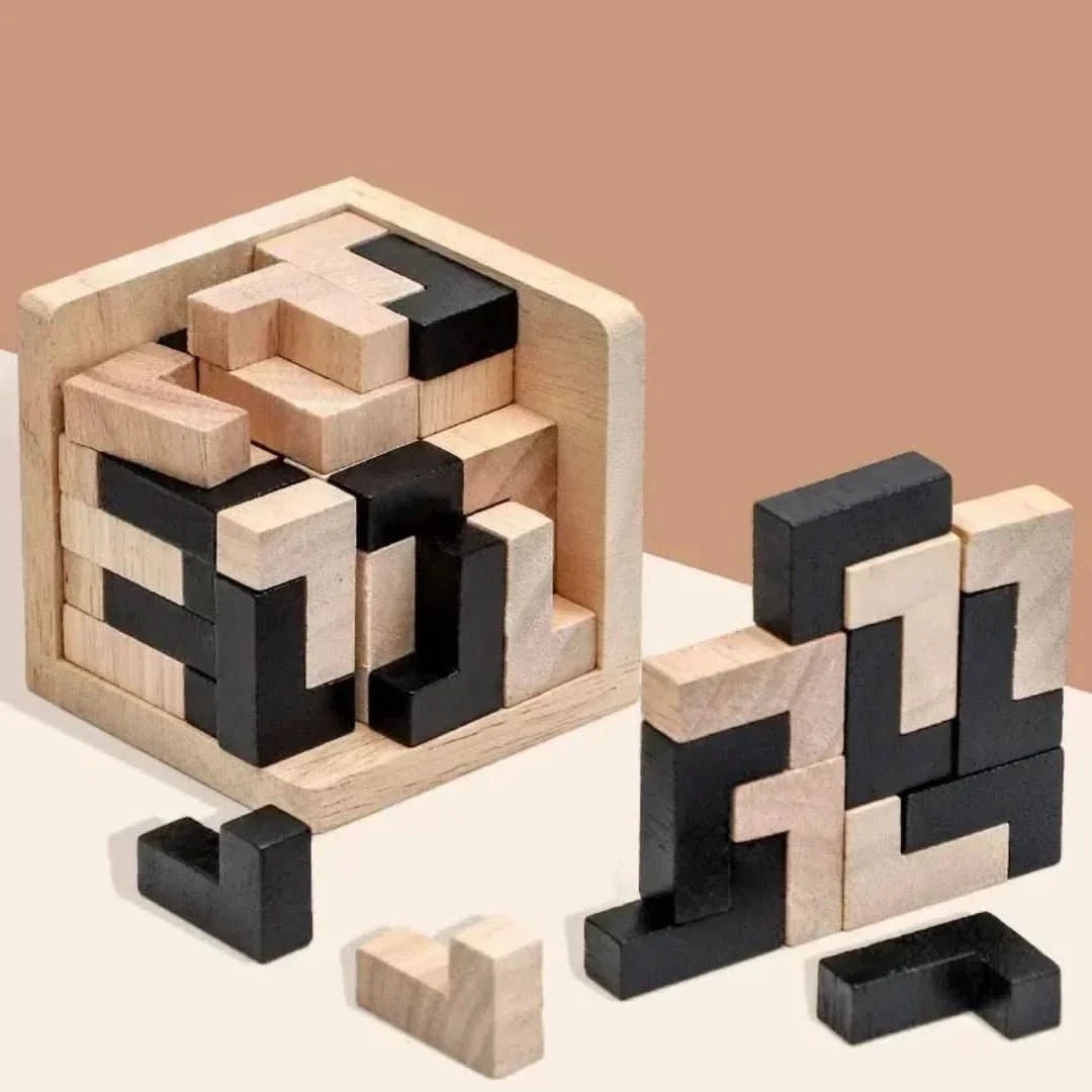 BrainWood | Puzzler Brain Game