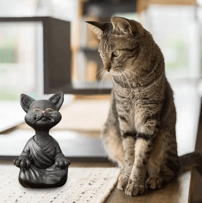 Buddha macska