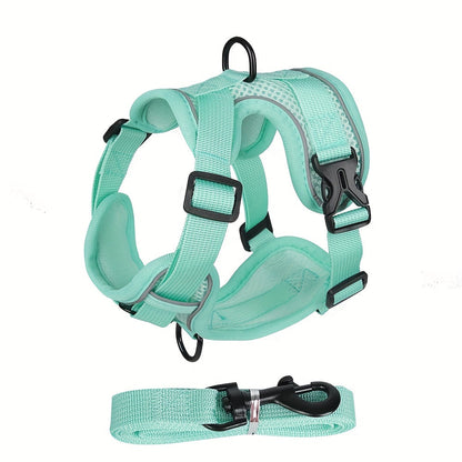 Reflecterend kattentuigje met riem - ideaal voor wandelingen en training