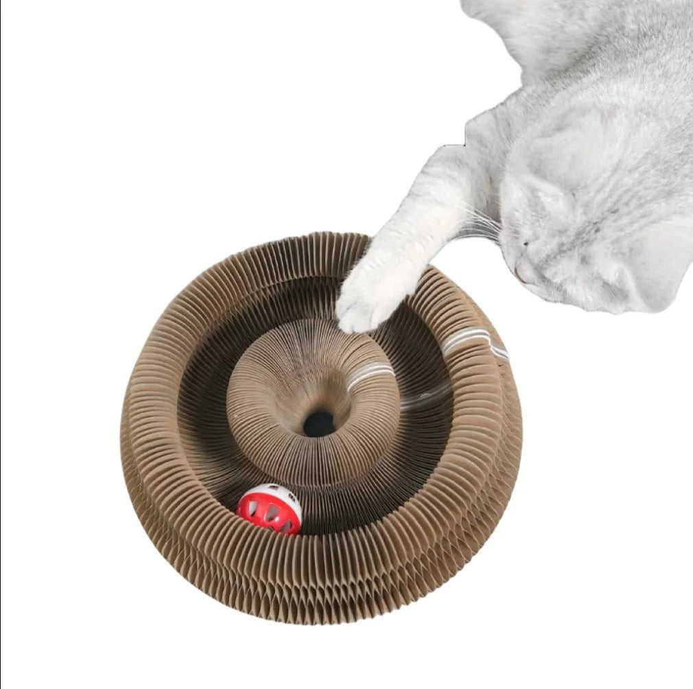 Play & Scratch with Magical Organ Scratching Board