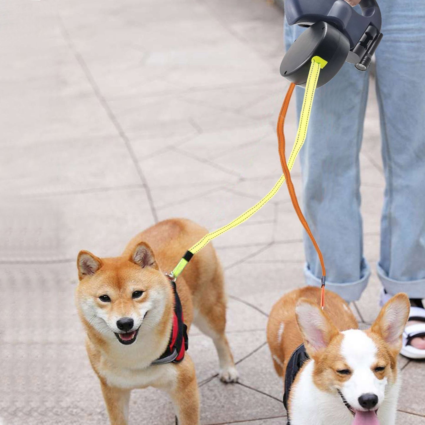 PetWorld - Double Innovative Retractable Dog Lead with Light