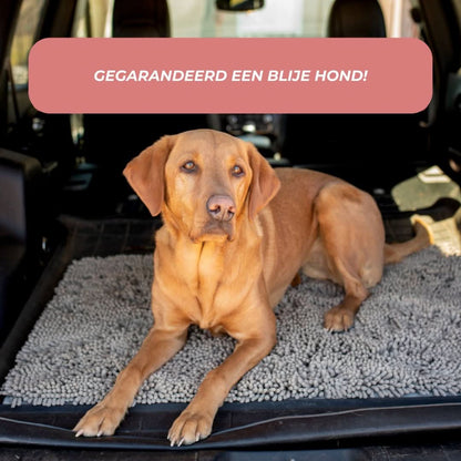 Clean-Mat | Dog Door Mat