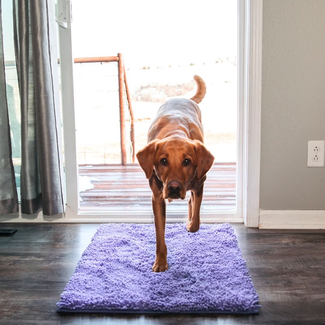 Clean-Mat | Dog Door Mat