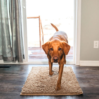 Clean-Mat | Dog Door Mat