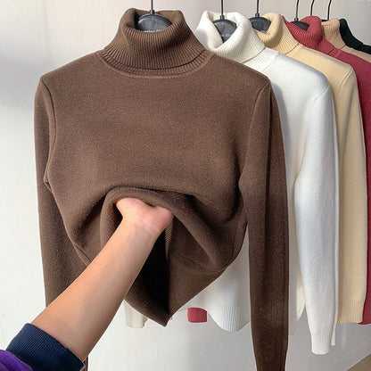 Comfortable Soft Lined Women's Fleece Turtleneck