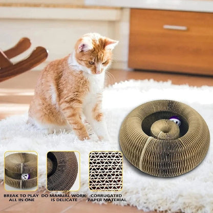 Play & Scratch with Magical Organ Scratching Board