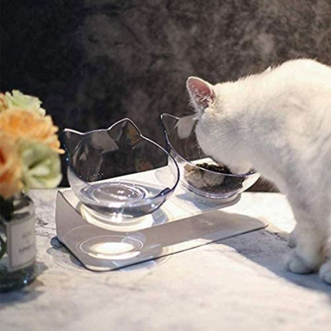 Ergonomic Cat Food Bowl