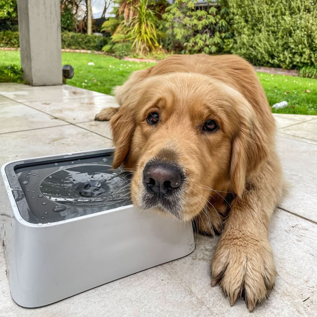Zero Splash