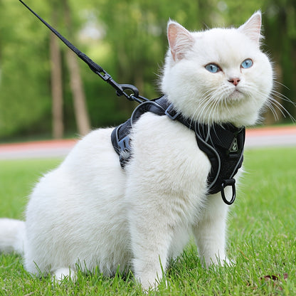 Reflecterend kattentuigje met riem - ideaal voor wandelingen en training