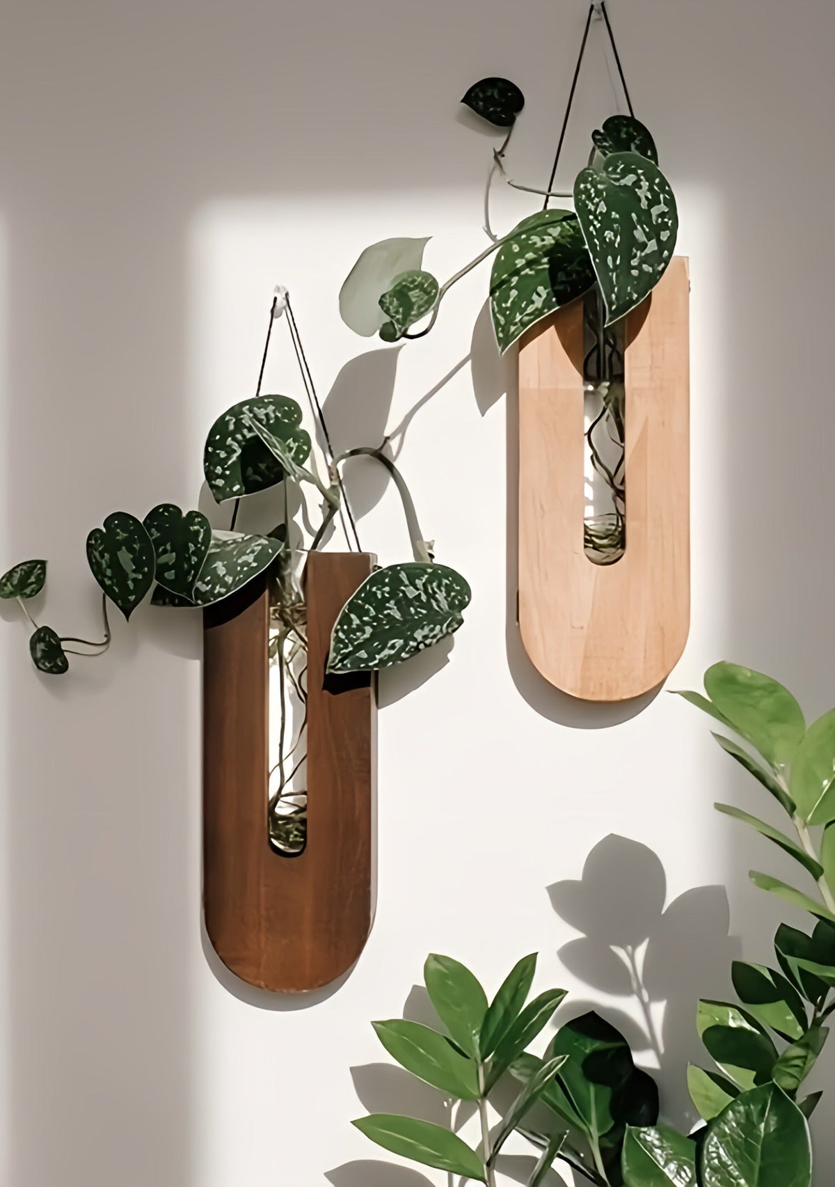 Set di portavasi da parete in legno per piante da interno, dal design minimalista e naturale